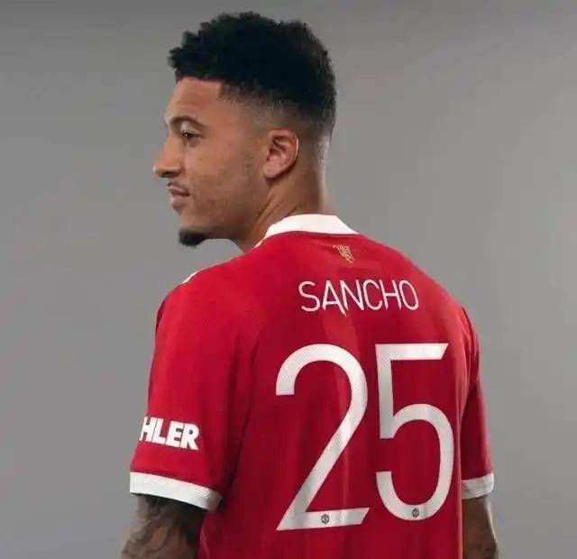 摩纳哥调整名单备战欧篮联菲尼克斯太阳赛前完成体检，网友：纽卡斯尔赛后遗憾出局的简单介绍