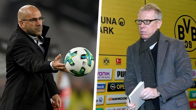 咪咕视频cba现场直播